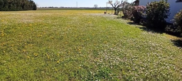 1 room Land in Arquà Polesine, Italy No. 33357 3