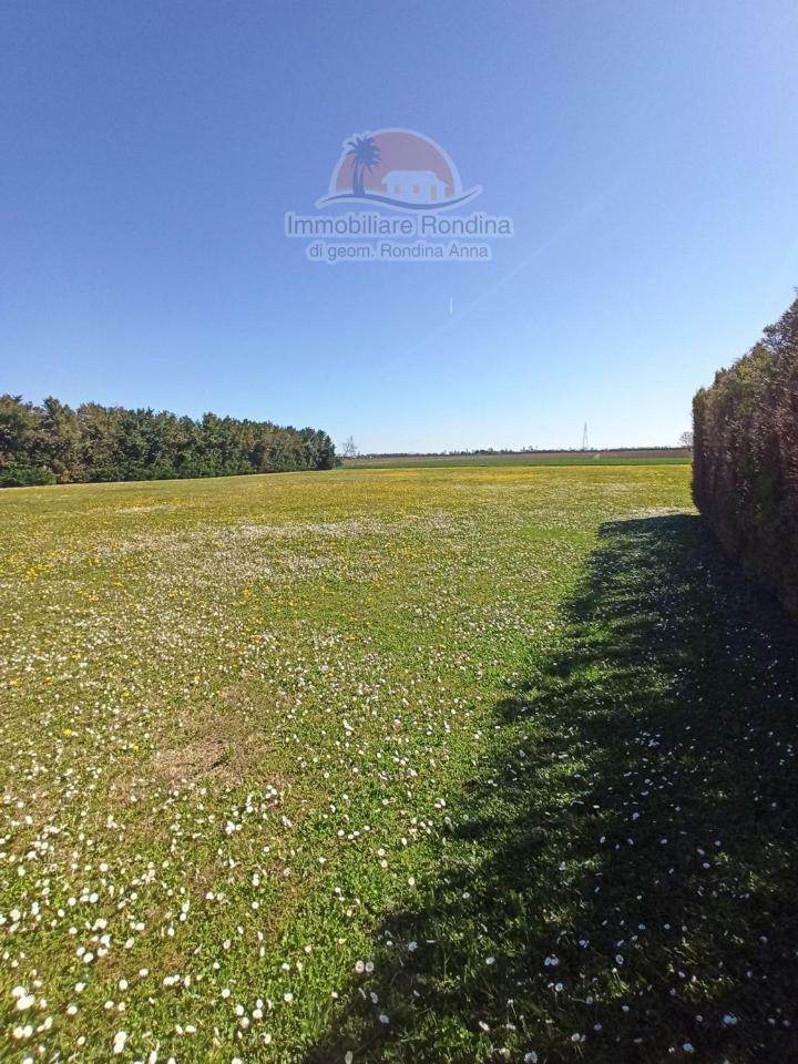 1 room Land in Arquà Polesine, Italy No. 33357