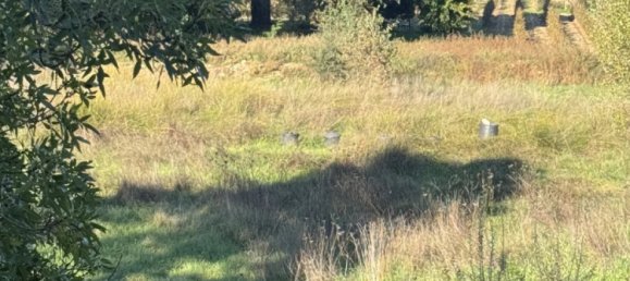  عقار تجاري في Le Plan-de-la-Tour, France 200متر مربع رقم 2032 2