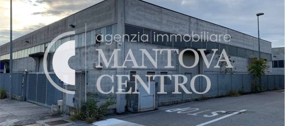 1 room Warehouse in Guidizzolo, Italy No. 268557 5