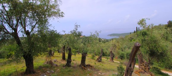 Hotel in Corfu, Greece 15233m², Nr. 7931 4