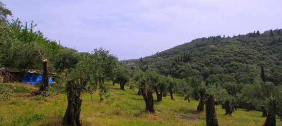 Hotel in Corfu, Greece 15233m², Nr. 7931 5