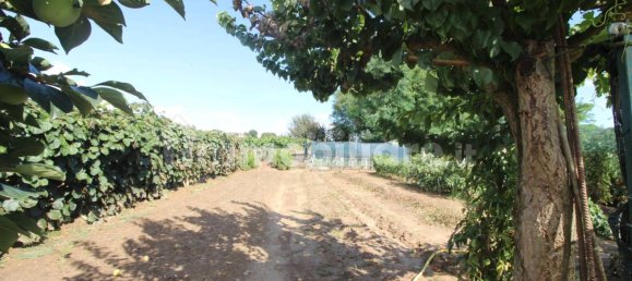 4 Schlafzimmer Villa in Conzano, Italy, Nr. 311178 7