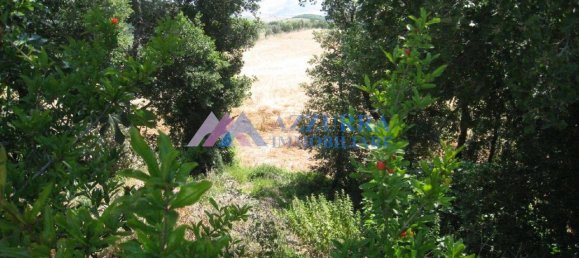 6 rooms House in Fresagrandinaria, Italy No. 125151 13