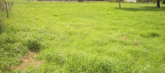 1225m² Land in Clavy-Warby, France No. 272665 3