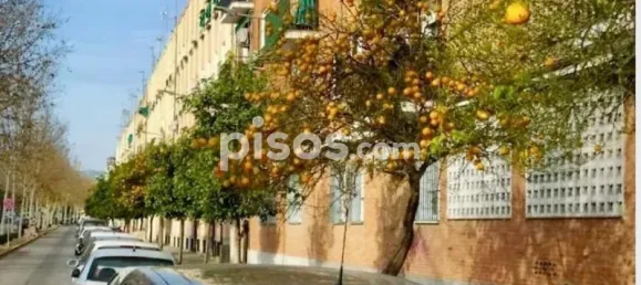 373m² Building in Cordoba, Spain No. 80442 7