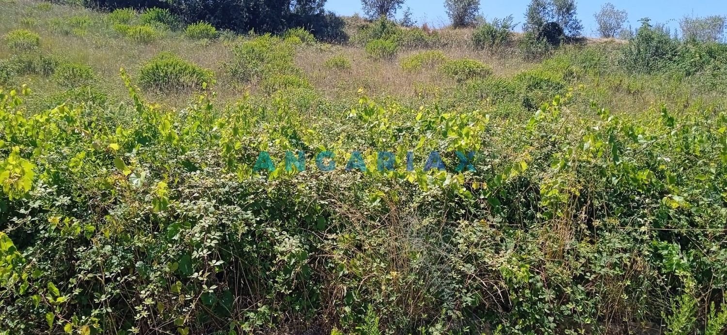  Land in Batalha, Portugal No. 283024