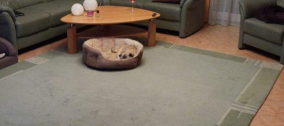 4 bedrooms Apartment in Odenwaldkreis, Germany No. 297606 9