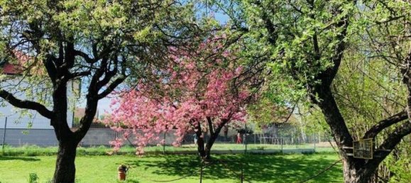 7 rooms House in Mistelbach, Austria No. 221304 32