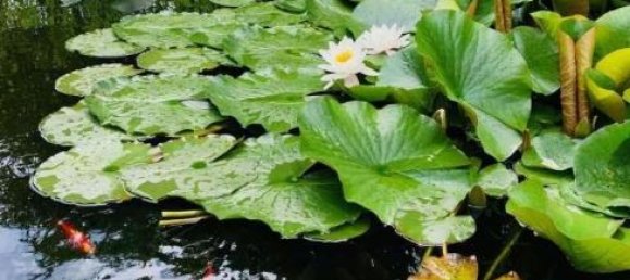 7 rooms House in Mistelbach, Austria No. 221304 30