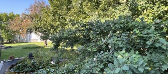 7 rooms House in Mistelbach, Austria No. 221304 24