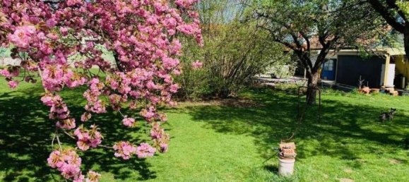 7 rooms House in Mistelbach, Austria No. 221304 21