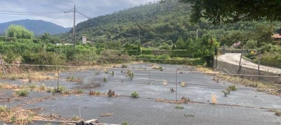 3 bedrooms Villa in Cisano sul Neva, Italy No. 295105 41