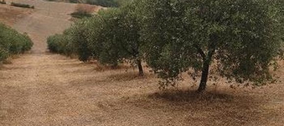 Villa de 7 divisões em Ariano Irpino, Italy N.º 300969 6