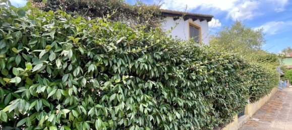 4 rooms House in San Teodoro, Italy No. 278510 12