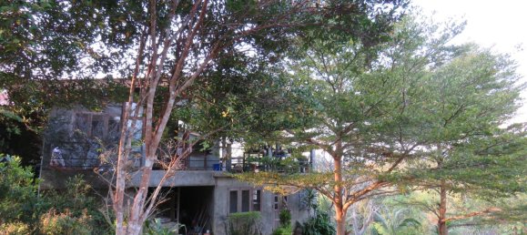 10 bedrooms House in Chiang Mai, Thailand No. 27064 6