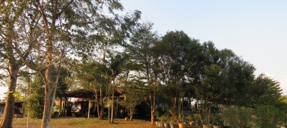 10 bedrooms House in Chiang Mai, Thailand No. 27064 4