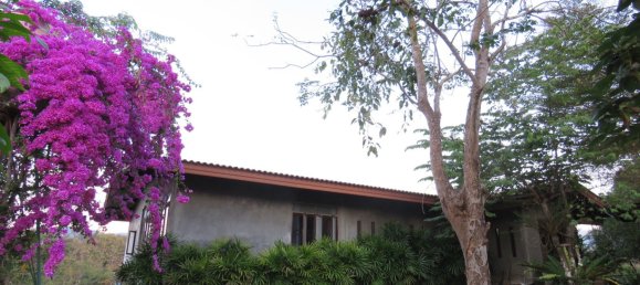 10 bedrooms House in Chiang Mai, Thailand No. 27064 13