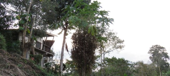 10 bedrooms House in Chiang Mai, Thailand No. 27064 11