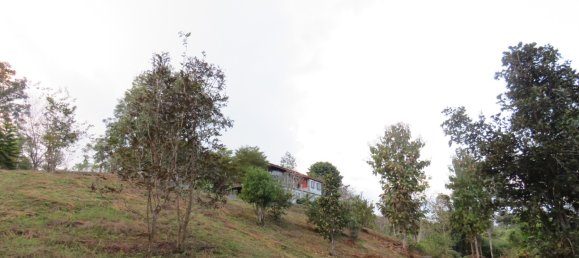 10 bedrooms House in Chiang Mai, Thailand No. 27064 2