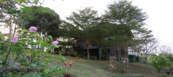 10 bedrooms House in Chiang Mai, Thailand No. 27064 7