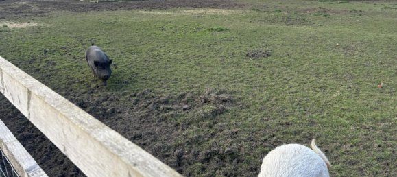  House in Market Rasen, United Kingdom No. 2394 58