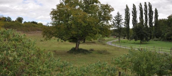 4 bedrooms House in Saint-Germain-des-Fosses, France No. 338236 16