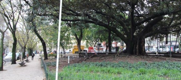 1 chambre Appartement à Lisbon, Portugal No. 153958 3