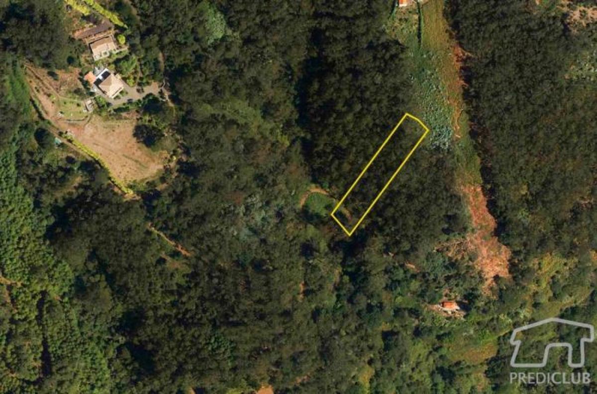  Land in Santa Cruz, Portugal No. 2227