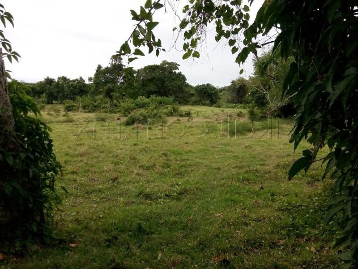 Terreno en Veracruz, Mexico No. 203937