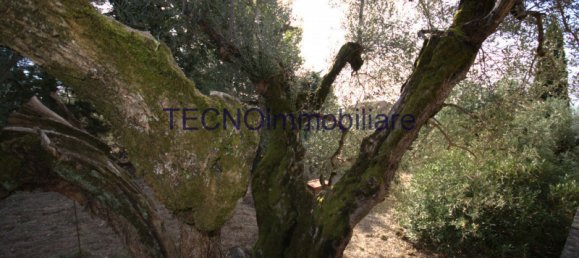 3 rooms Villa in Perugia, Italy No. 62431 25