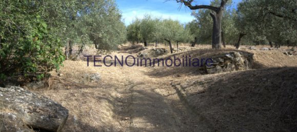 3 rooms Villa in Perugia, Italy No. 62431 39