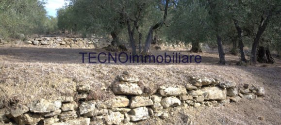 3 rooms Villa in Perugia, Italy No. 62431 41