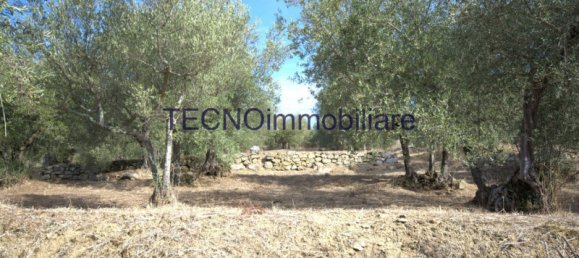 3 rooms Villa in Perugia, Italy No. 62431 3