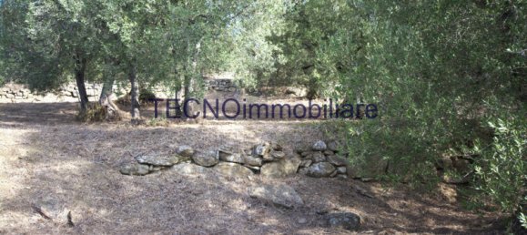 3 rooms Villa in Perugia, Italy No. 62431 40