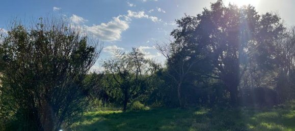 2500m² Land in Rion-des-Landes, France No. 303211 6