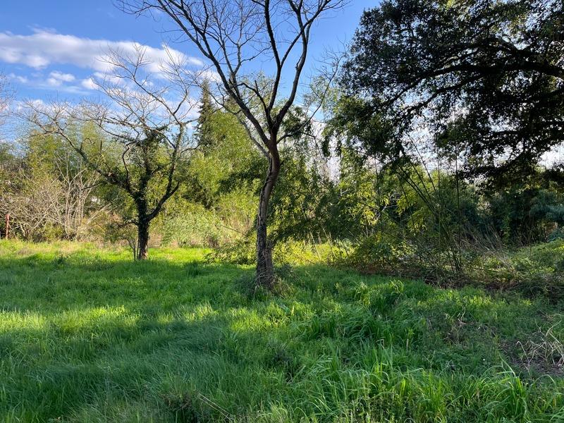 2500m² Land in Rion-des-Landes, France No. 303211