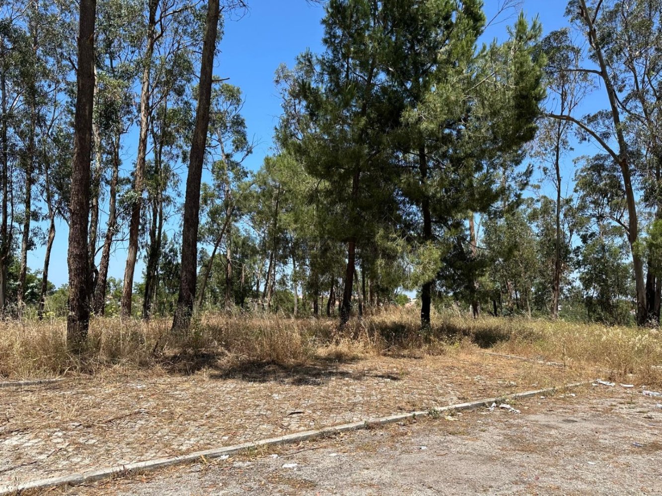 Grundstück in Setubal, Portugal, Nr. 162686