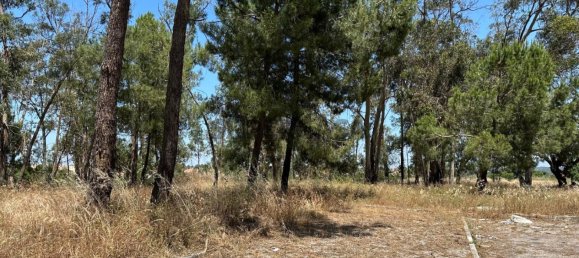 Grundstück in Setubal, Portugal, Nr. 162686 5