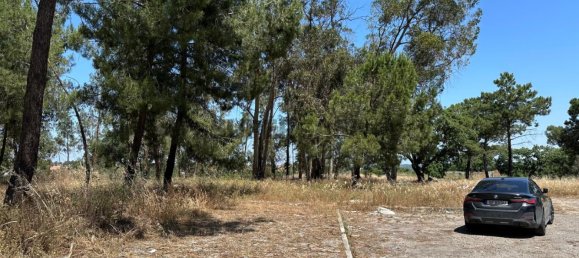 Grundstück in Setubal, Portugal, Nr. 162686 3