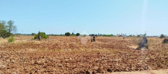 3غرفة فيلا في Copertino, Italy رقم 280300 10