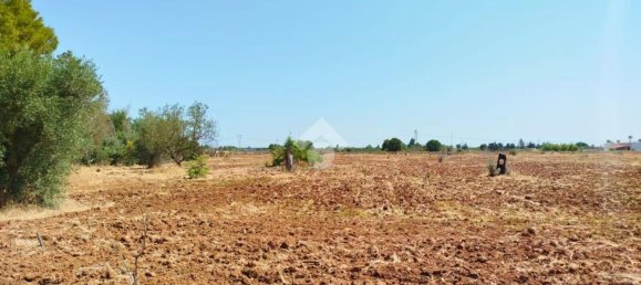 3غرفة فيلا في Copertino, Italy رقم 280300 20