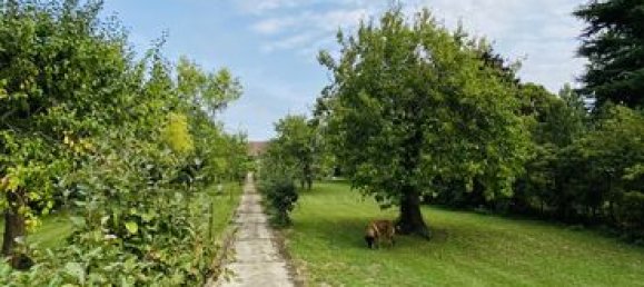 1 room Land in Villeblevin, France No. 363970 3