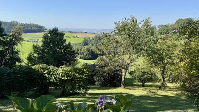 Terrain à Gramastetten, Austria No. 231916