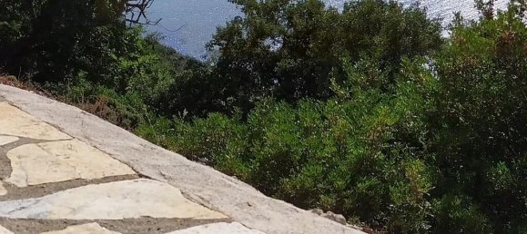 Hotel em Ithaca, Greece 7318 m² N.º 3775 4