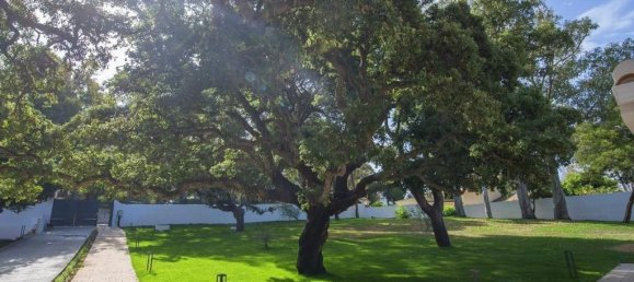 6 bedrooms Villa in Marbella, Spain No. 74737 23