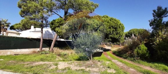 805m² Land in Almancil, Portugal No. 57813 4