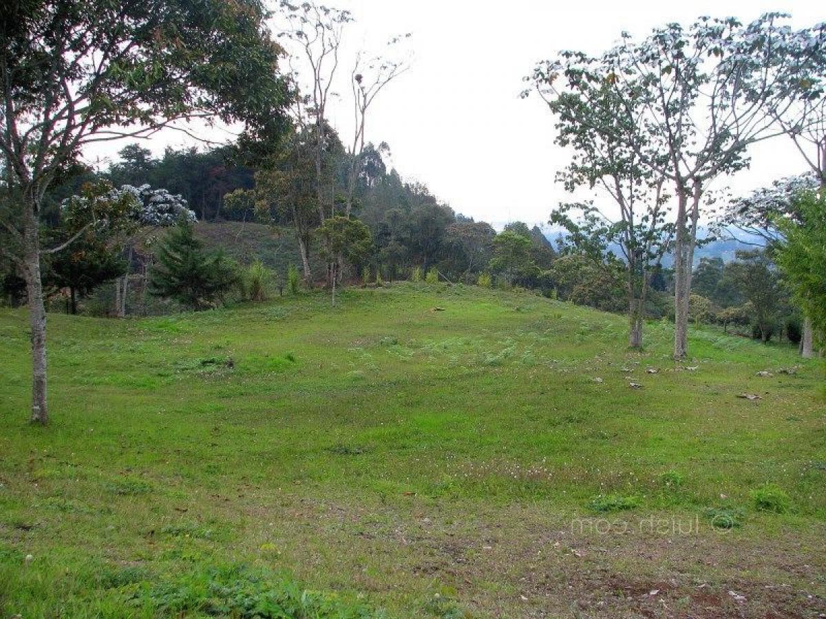 Grundstück in Antioquia, Colombia, Nr. 141