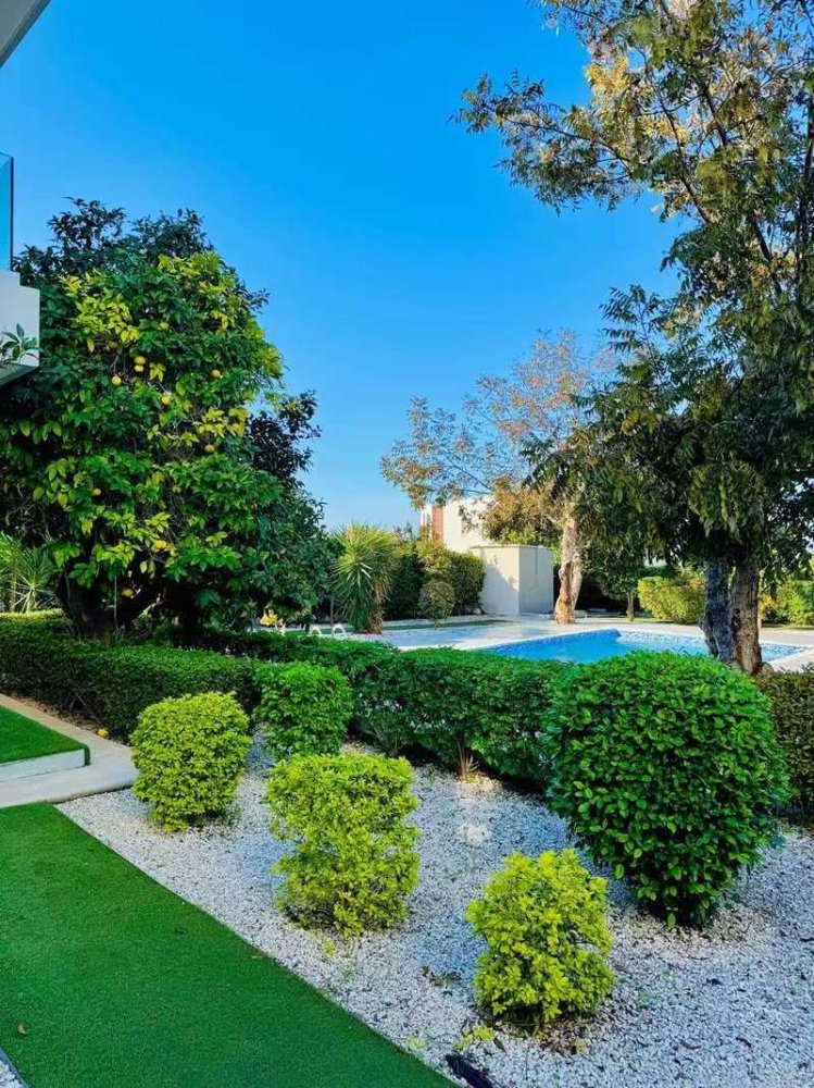 4 bedrooms Villa in Chloraka, Cyprus No. 20367