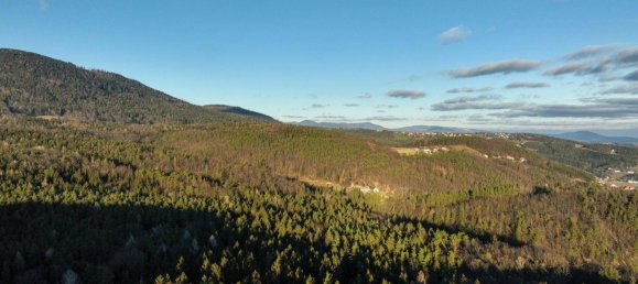 Land in Weinitzen, Austria No. 157633 6